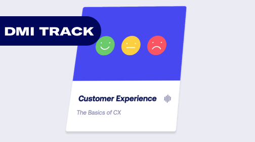 Customer Experience (CX) course